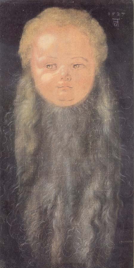 Albrecht Durer Portrait of a boy with a long beard